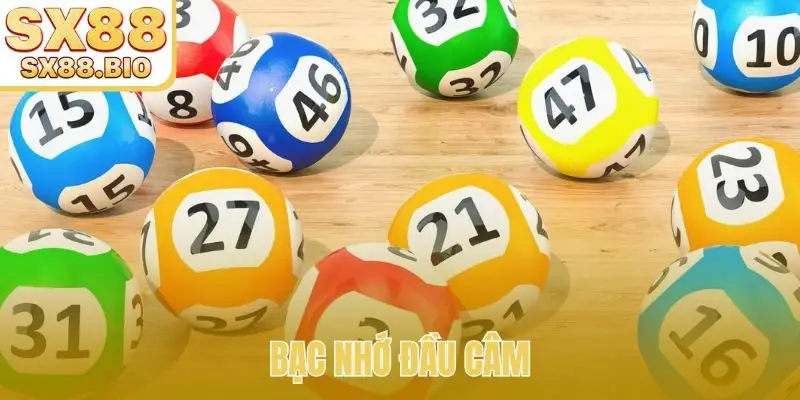 Chuyên Mục Blog SX88 - Cập Nhật Các Tin Tức Độc Quyền