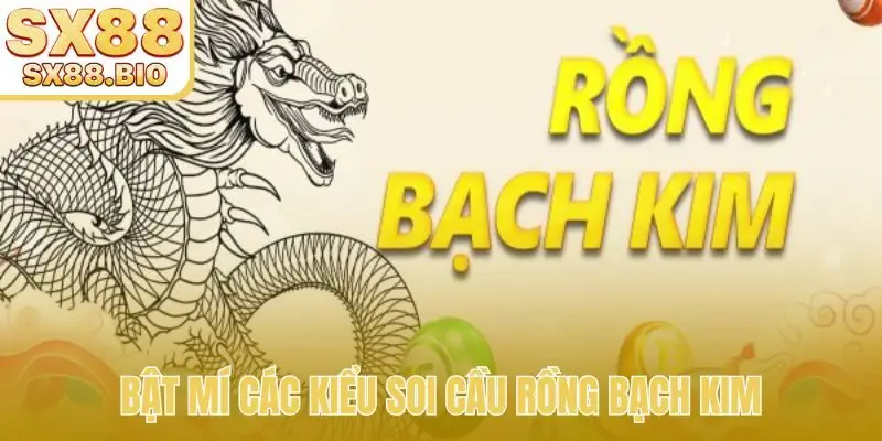 Soi Cầu Rồng Bạch Kim - Công Cụ Phân Tích Lô Đề Hàng Đầu