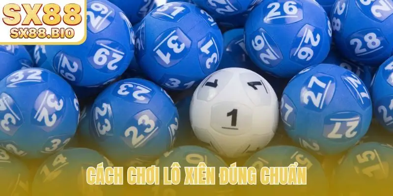 Lô Xiên Ăn Bao Nhiêu - Bí Mật Tỷ Lệ Trả Thưởng Siêu Hấp Dẫn