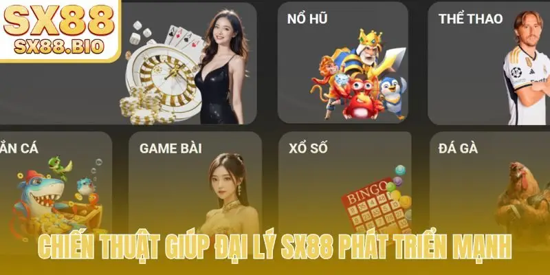 Đại Lý SX88 - Khám Phá 02 Chính Sách Hoa Hồng Đỉnh Cao