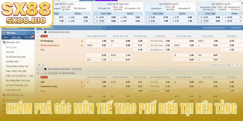 Thể Thao SX88 - Giải Mã Bí Quyết Thắng Lớn Mọi Kèo Cá Độ