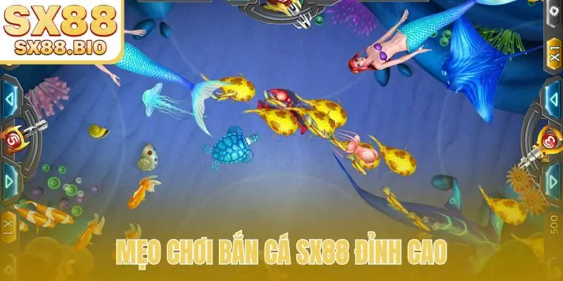 Bắn Cá SX88 - Hành Trình Chinh Phục Đại Dương, Rinh Jackpot