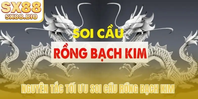 Soi Cầu Rồng Bạch Kim - Công Cụ Phân Tích Lô Đề Hàng Đầu