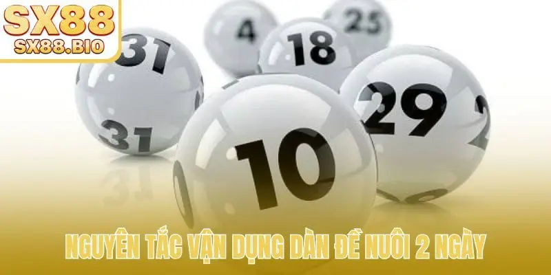 Dàn Đề Nuôi 2 Ngày - Chiến Thuật Tối Ưu Lợi Nhuận Khủng